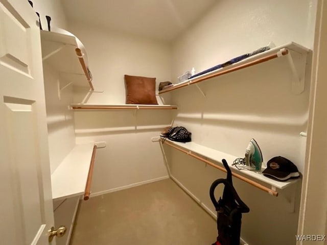 view of walk in closet