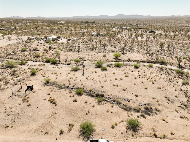 LOT239 N Palo Verde Dr, Dolan Springs, AZ 86441 - photo 9