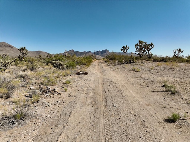 LOT239 N Palo Verde Dr, Dolan Springs, AZ 86441 - photo 6