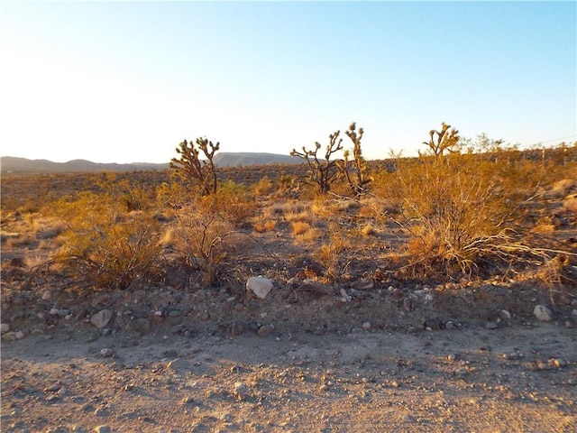 17001 N Mead Dr, Dolan Springs, AZ 86441 - photo 9