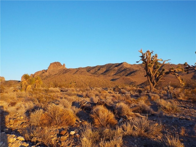 17001 N Mead Dr, Dolan Springs, AZ 86441 - photo 5
