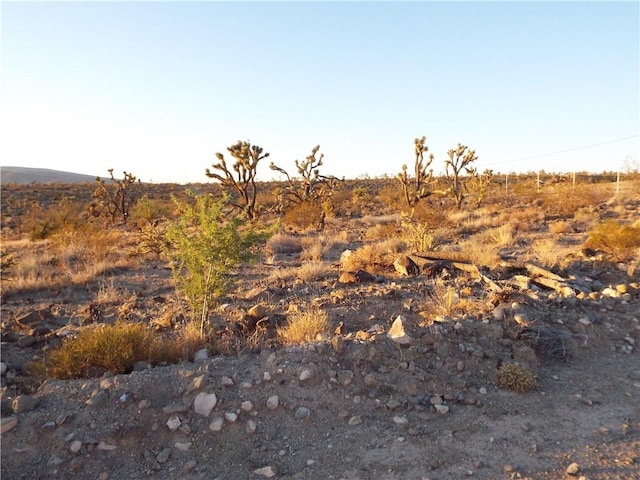 17001 N Mead Dr, Dolan Springs, AZ 86441 - photo 10