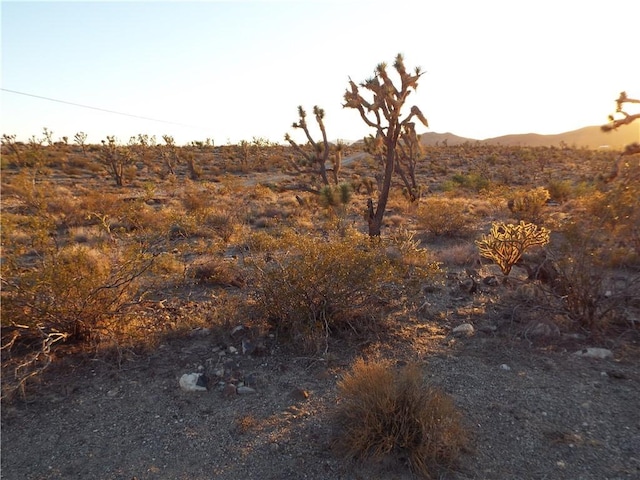 17001 N Mead Dr, Dolan Springs, AZ 86441 - photo 6