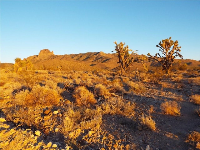 17001 N Mead Dr, Dolan Springs, AZ 86441 - photo 2