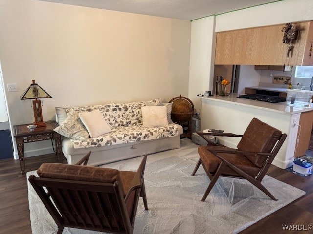 living room featuring wood finished floors