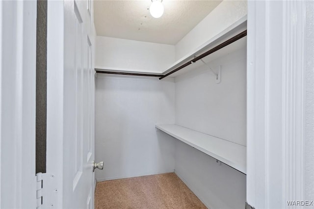 spacious closet with light carpet