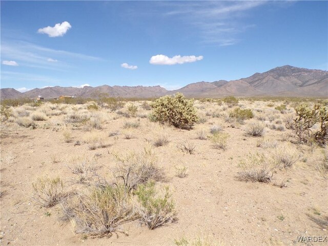 326-06-272 Indian Dr, Dolan Springs, AZ 86441 - photo 17