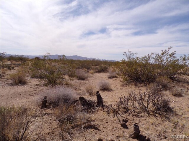 326-06-272 Indian Dr, Dolan Springs, AZ 86441 - photo 15
