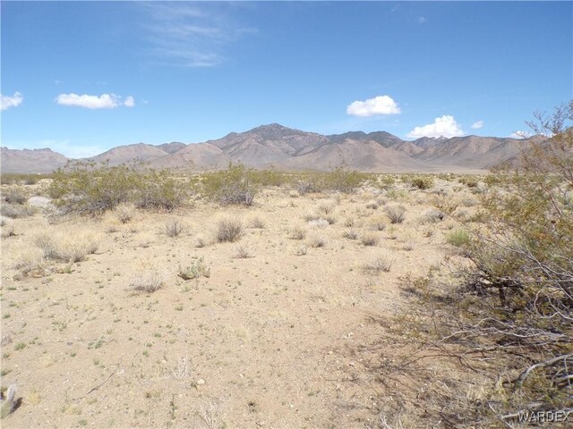326-06-272 Indian Dr, Dolan Springs, AZ 86441 - photo 4
