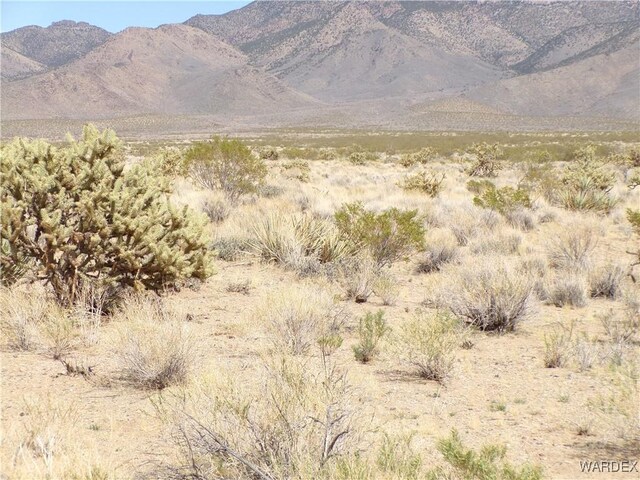 326-06-272 Indian Dr, Dolan Springs, AZ 86441 - photo 19