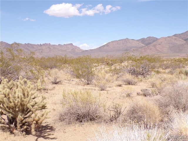 326-06-272 Indian Dr, Dolan Springs, AZ 86441 - photo 20