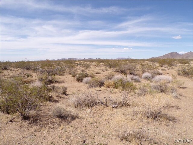 326-06-272 Indian Dr, Dolan Springs, AZ 86441 - photo 11