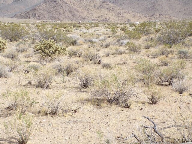 326-06-272 Indian Dr, Dolan Springs, AZ 86441 - photo 18