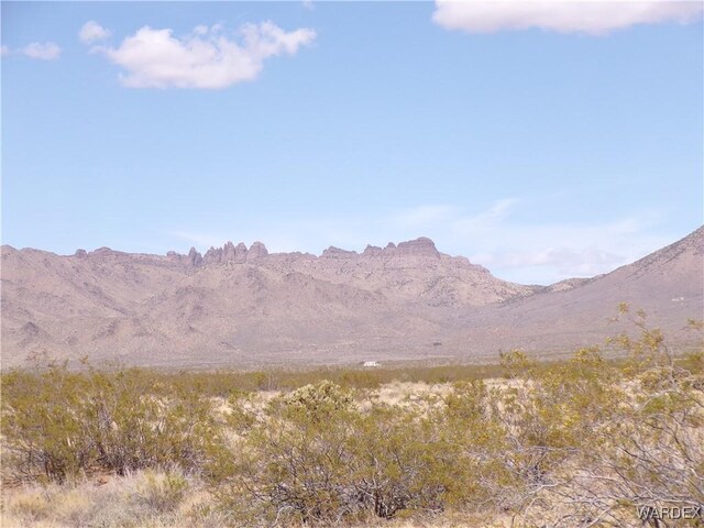 326-06-272 Indian Dr, Dolan Springs, AZ 86441 - photo 8