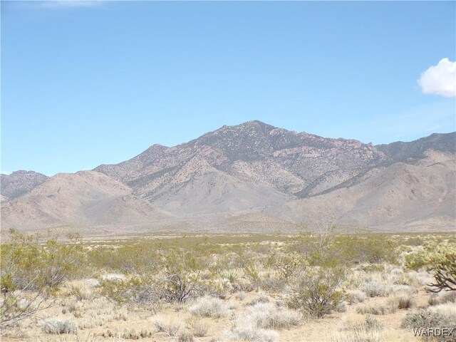 326-06-272 Indian Dr, Dolan Springs, AZ 86441 - photo 7