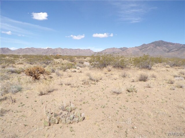 326-06-272 Indian Dr, Dolan Springs, AZ 86441 - photo 5