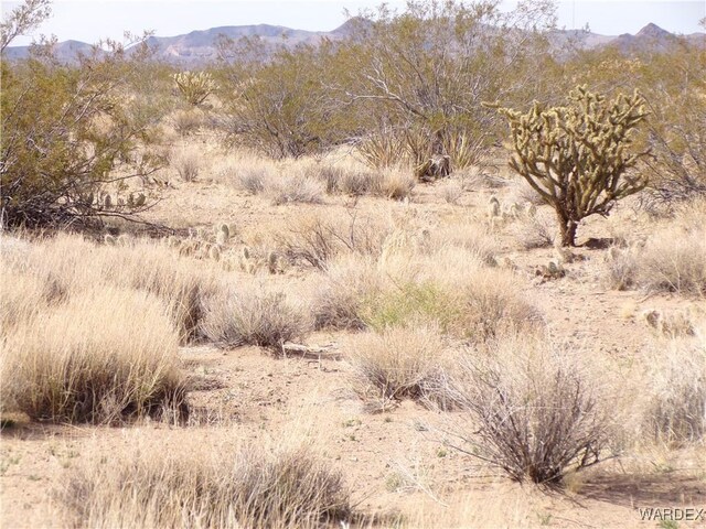 326-06-272 Indian Dr, Dolan Springs, AZ 86441 - photo 3