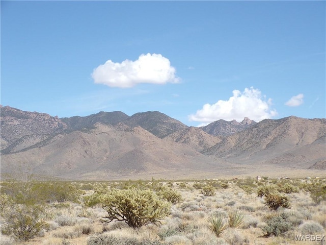 326-06-272 Indian Dr, Dolan Springs, AZ 86441 - photo 2