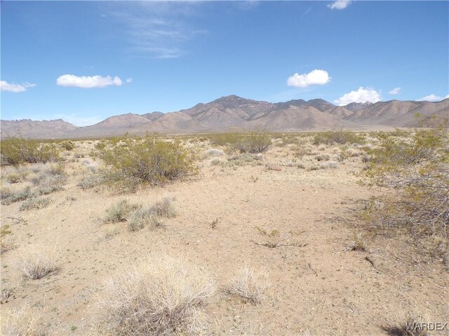 326-06-272 Indian Dr, Dolan Springs, AZ 86441 - photo 9