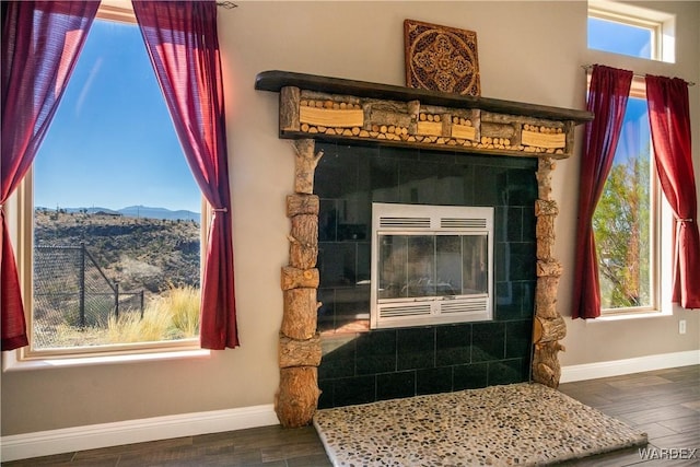 details featuring wood finished floors, a mountain view, and baseboards