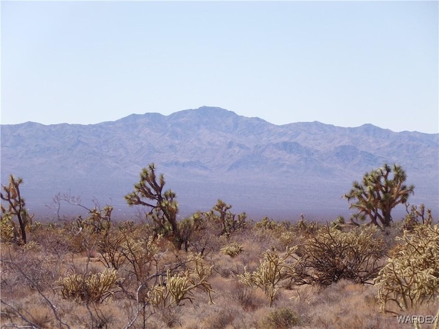 Listing photo 3 for LOT173 E Cholla Dr, Yucca AZ 86438