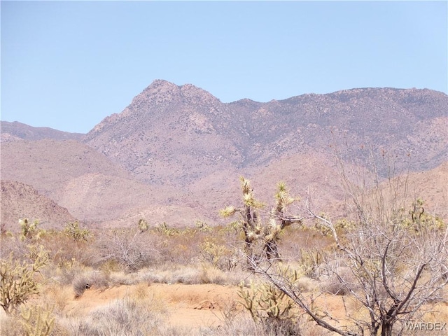 LOT173 E Cholla Dr, Yucca AZ, 86438 land for sale