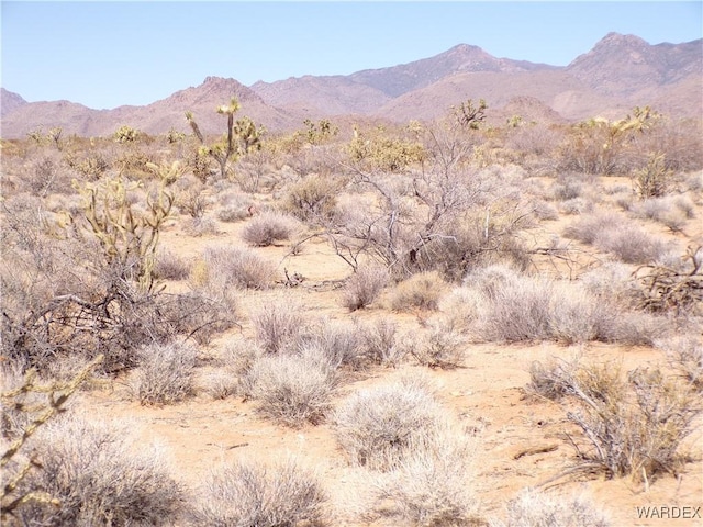 Listing photo 2 for LOT173 E Cholla Dr, Yucca AZ 86438