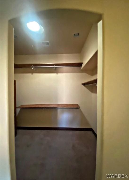 view of walk in closet