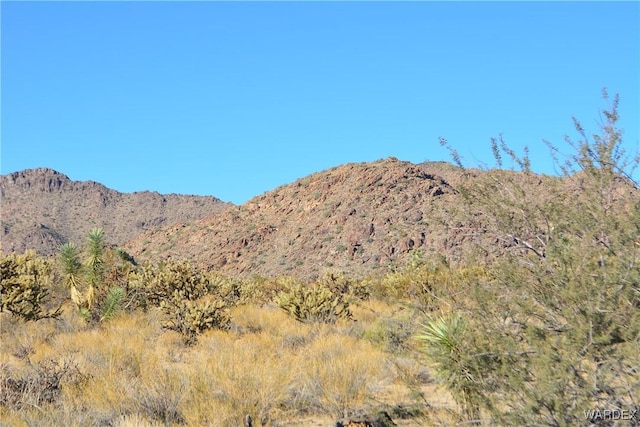 11626 S Sherry Rd, Yucca, AZ 86438