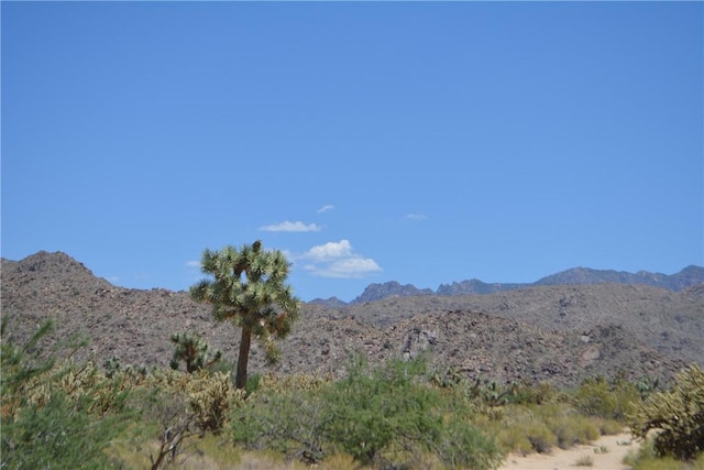 11626 S Sherry Rd, Yucca, AZ 86438