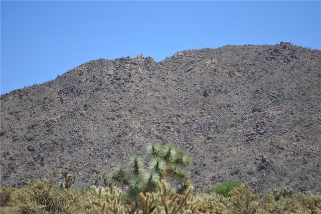 11626 S Sherry Rd, Yucca, AZ 86438