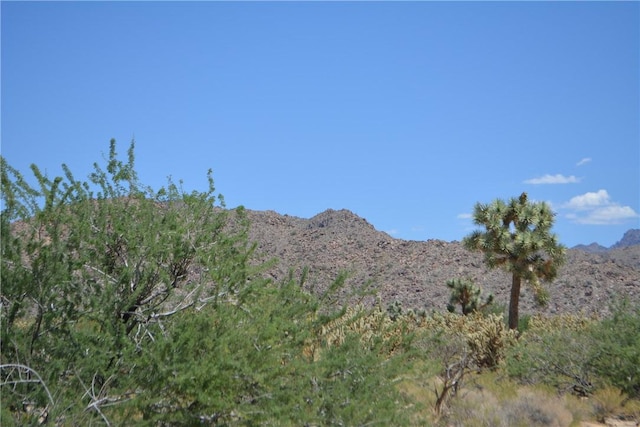 11626 S Sherry Rd, Yucca, AZ 86438