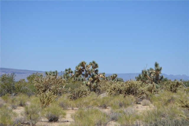 11626 S Sherry Rd, Yucca, AZ 86438