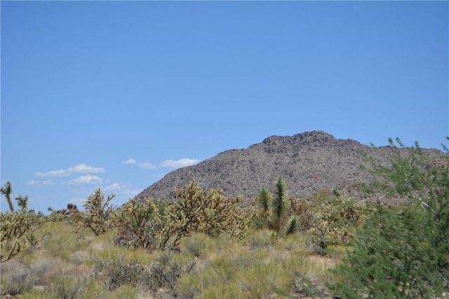 11626 S Sherry Rd, Yucca, AZ 86438