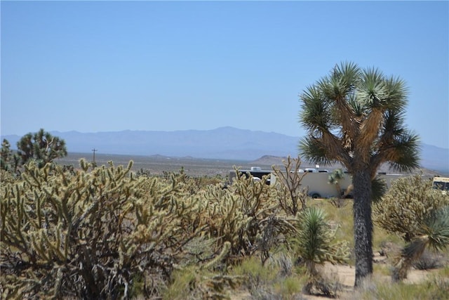 11626 S Sherry Rd, Yucca, AZ 86438