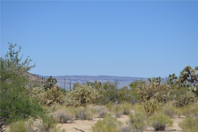 11626 S Sherry Rd, Yucca, AZ 86438