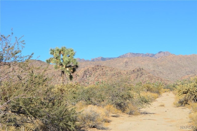 11626 S Sherry Rd, Yucca, AZ 86438