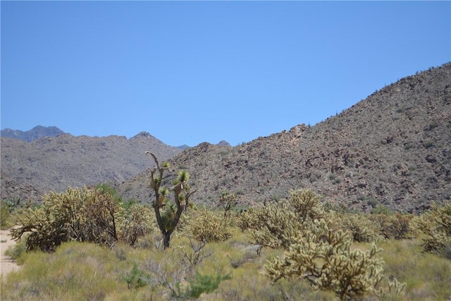 11626 S Sherry Rd, Yucca, AZ 86438