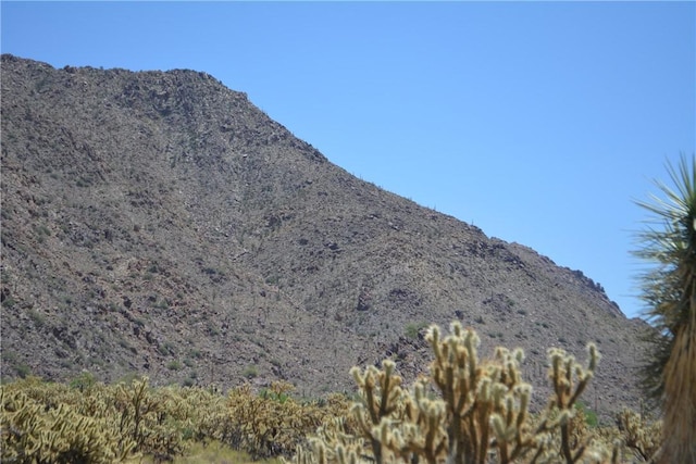 11626 S Sherry Rd, Yucca, AZ 86438