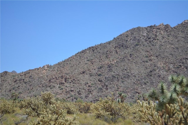 11626 S Sherry Rd, Yucca, AZ 86438