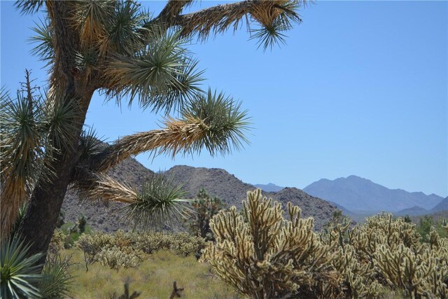 11626 S Sherry Rd, Yucca, AZ 86438