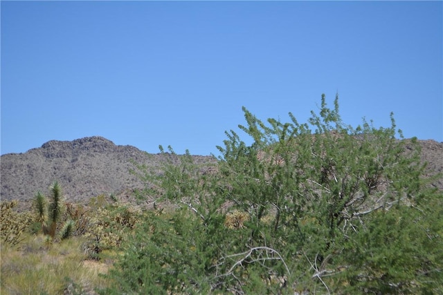 11626 S Sherry Rd, Yucca, AZ 86438