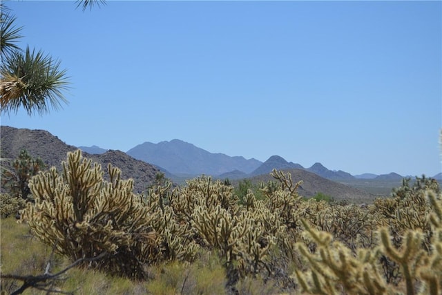 11626 S Sherry Rd, Yucca, AZ 86438