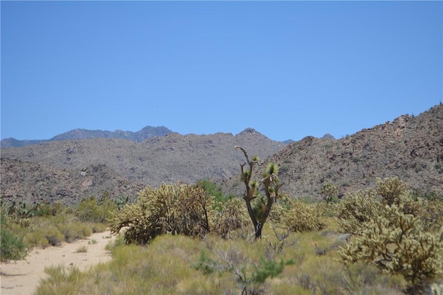 11626 S Sherry Rd, Yucca, AZ 86438