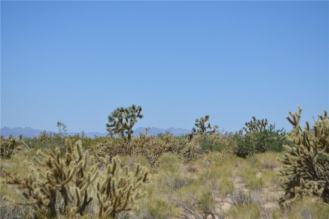 11626 S Sherry Rd, Yucca, AZ 86438