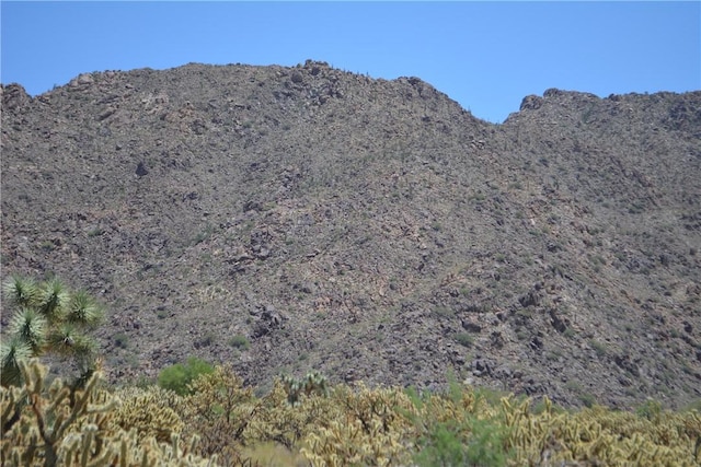 11626 S Sherry Rd, Yucca, AZ 86438