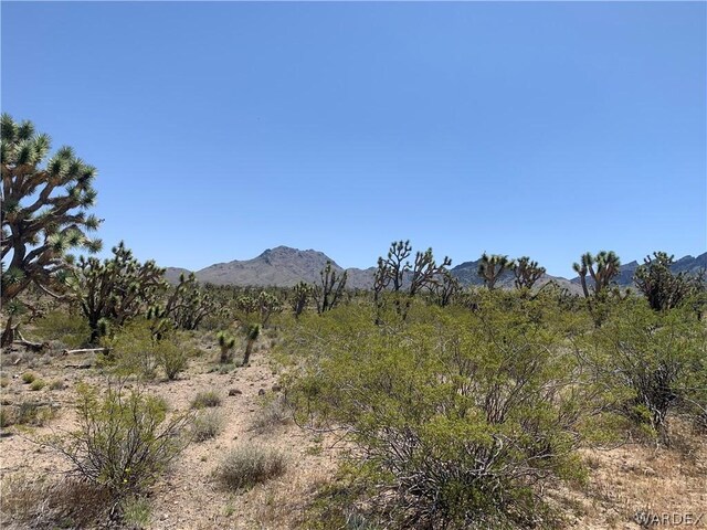 Listing photo 3 for 0000 Mt Loco Dr, Dolan Springs AZ 86441