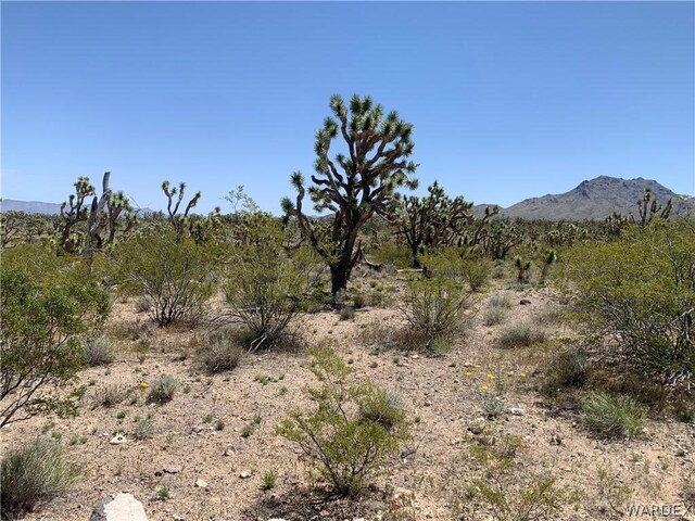 0000 Mt Loco Dr, Dolan Springs AZ, 86441 land for sale