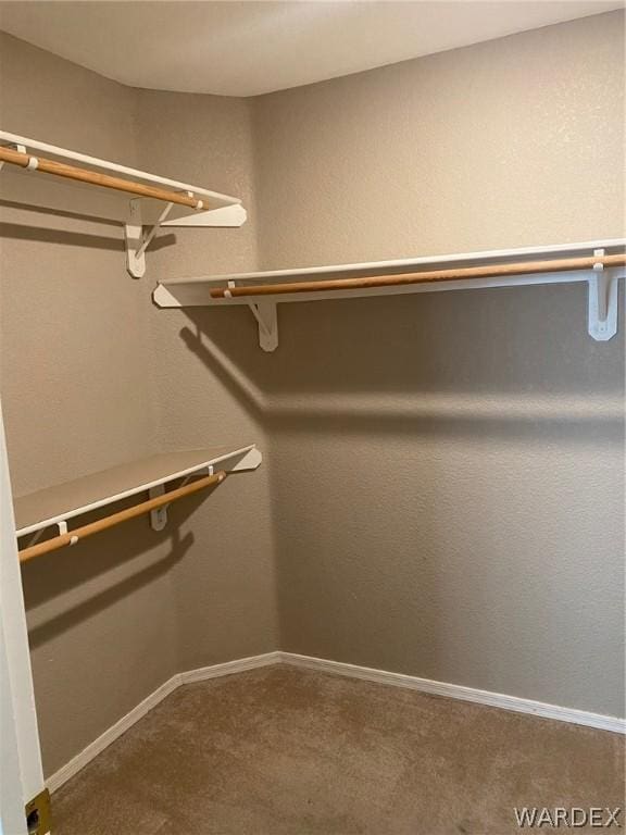 spacious closet with carpet flooring