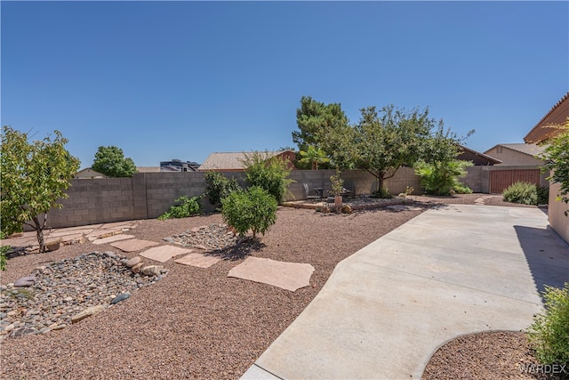 view of yard with a patio area and a fenced backyard